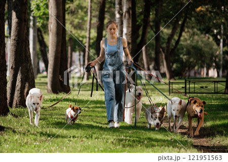 woman is walking her dogs in park woman is walking her dogs in park 121951563