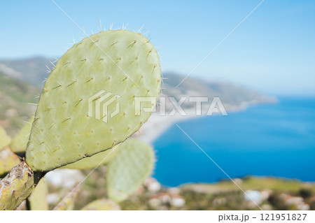 シチリア島のタオルミナの風景とサボテン 121951827