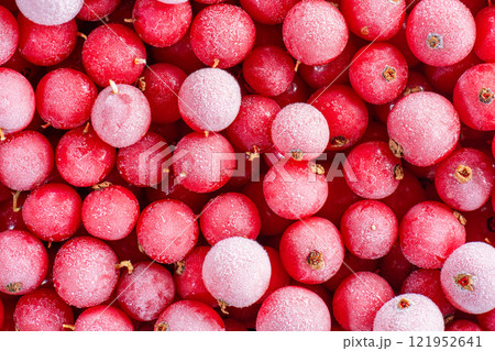 frozen red currants in large quantities 121952641