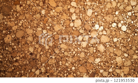 Cork Texture Brown Abstract Background 121953530
