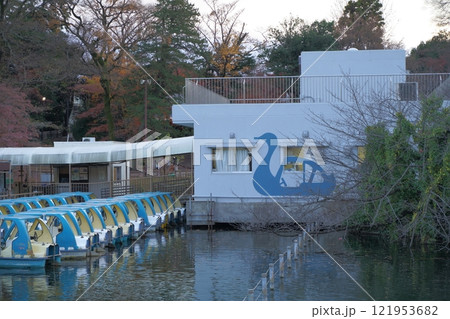 秋の井の頭公園の風景、東京、日本 121953682