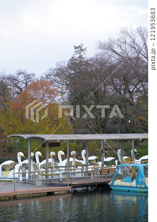 秋の井の頭公園の風景、東京、日本 121953683