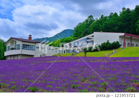 ハイランドふらの ラベンダーのうみ 121953721
