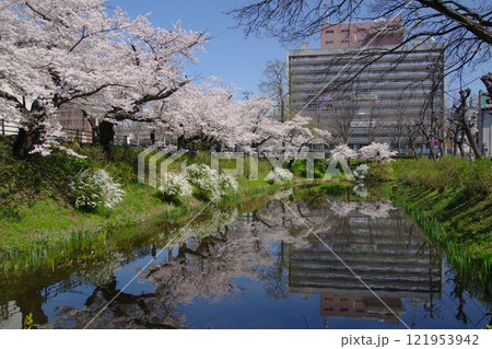 盛岡の風景 内丸の桜並木と岩手県庁庁舎 盛岡の風景 内丸の桜並木と岩手県庁庁舎 121953942