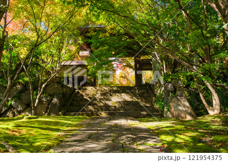 山門と参道 山門と参道 121954375
