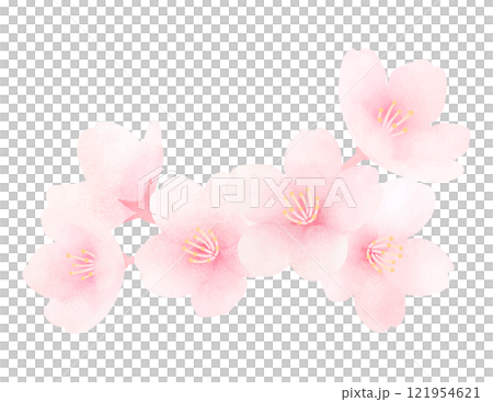 満開の桜の水彩イラスト_かわいい手描きの春の花 満開の桜の水彩イラスト_かわいい手描きの春の花 121954621
