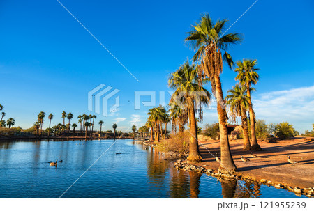 Palm Trees and Water Reflection at an Oasis Surrounded by Desert in Papago Park, Phoenix, Arizona, United States 121955239