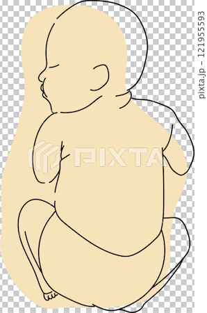 Baby illustration line drawing simple monochromatic Korean baby 121955593