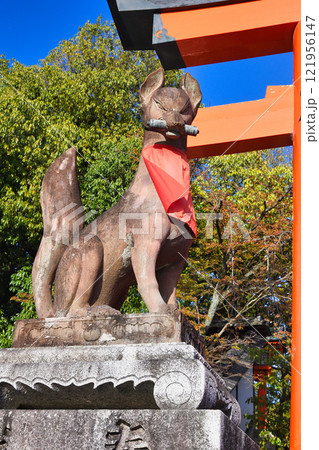 京都 伏見稲荷大社 狛狐(京都府京都市伏見区) 京都 伏見稲荷大社 狛狐(京都府京都市伏見区) 121956147