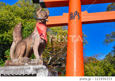 京都 伏見稲荷大社 狛狐(京都府京都市伏見区) 京都 伏見稲荷大社 狛狐(京都府京都市伏見区) 121956153