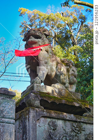 京都 伏見稲荷大社 狛犬(京都府京都市伏見区) 京都 伏見稲荷大社 狛犬(京都府京都市伏見区) 121956283