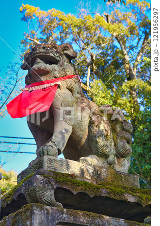京都 伏見稲荷大社 狛犬(京都府京都市伏見区) 京都 伏見稲荷大社 狛犬(京都府京都市伏見区) 121956297
