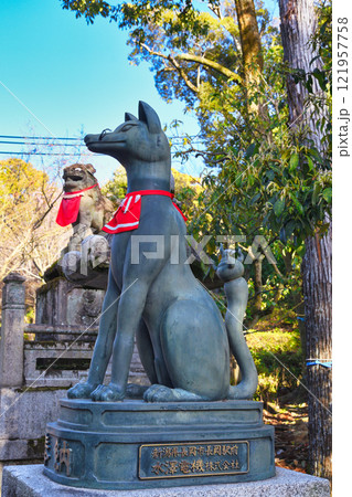 京都 伏見稲荷大社　狛狐と狛犬（京都府京都市伏見区） 121957758