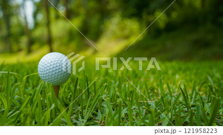 Close-up of golf ball on tee in beautiful golf course at sunset background. 121958223