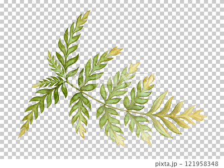 Bracken fern leaf textured botanical illustration in earth tone. Hand drawn watercolor floral element of prehistoric plant. Perfect for the use of ecological material and sustainable designs. 121958348