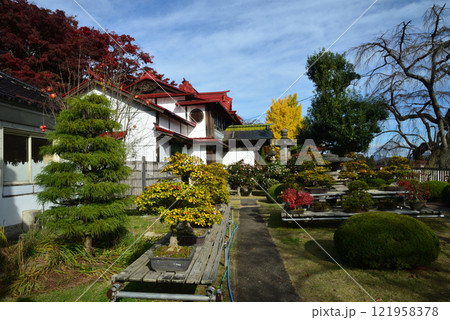 蛇の鼻　2024-11-17　＃107 121958378