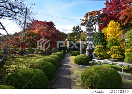 蛇の鼻　2024-11-17　＃109 121958380