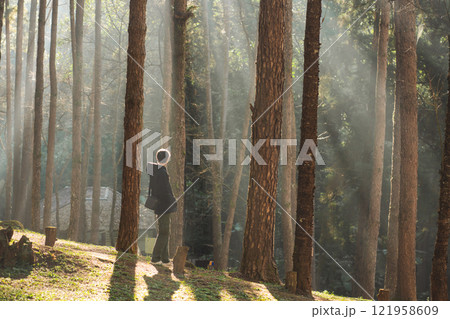 travel and people activity concept with asian man hiking in tropical forest with pine tree on mountain 121958609