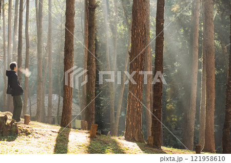 travel and people activity concept with asian man hiking in tropical forest with pine tree on mountain 121958610