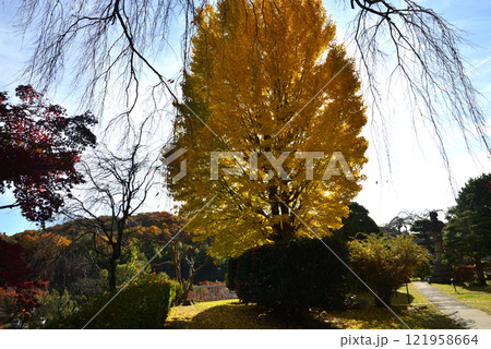 蛇の鼻 2024-11-17 #119 蛇の鼻 2024-11-17 #119 121958664