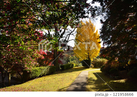 蛇の鼻　2024-11-17　＃120 121958666