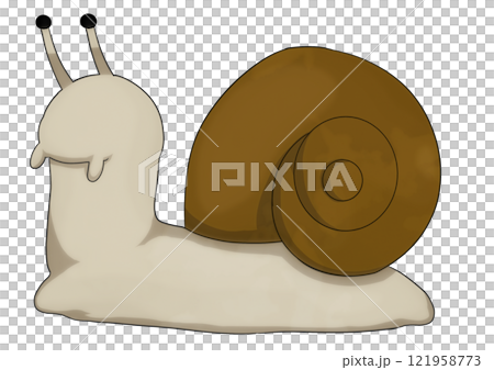 Cute snail illustration 121958773