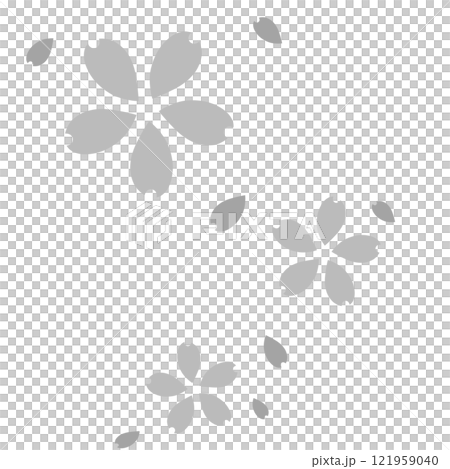 灰色簡單的櫻花和花瓣 121959040