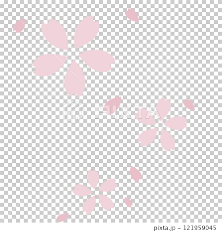 Simple cherry blossoms and petals in pale pink with a bluish tint Simple cherry blossoms and petals in pale pink with a bluish tint 121959045