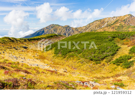 秋の立山黒部アルペンルート　紅葉の室堂平 121959312