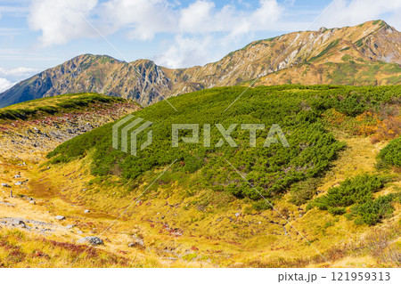秋の立山黒部アルペンルート 紅葉の室堂平 秋の立山黒部アルペンルート 紅葉の室堂平 121959313