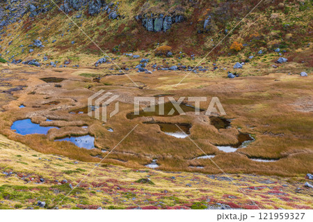 秋の立山黒部アルペンルート　紅葉の室堂平　血の池 121959327