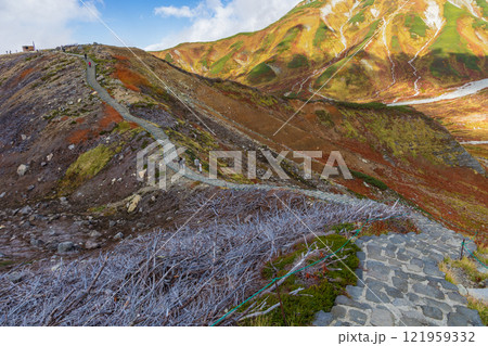 秋の立山黒部アルペンルート　紅葉の室堂平 121959332