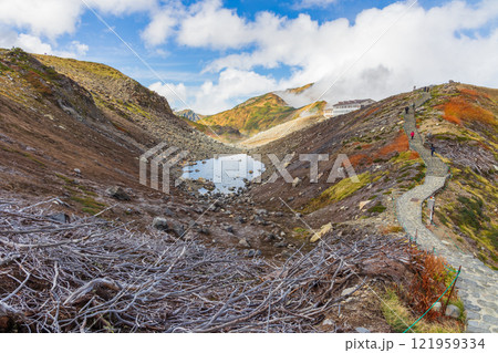 秋の立山黒部アルペンルート 紅葉の室堂平 秋の立山黒部アルペンルート 紅葉の室堂平 121959334
