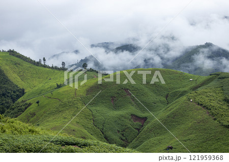 Landscape of Morning Mist with Mountain Layer. mountain ridge and clouds in rural jungle bush forest Landscape of Morning Mist with Mountain Layer. mountain ridge and clouds in rural jungle bush forest 121959368