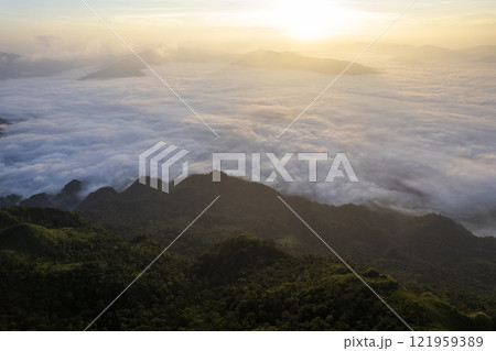 Phu Chifa Mountain with fog and cloudy sky at Chiang rai Thailand 121959389
