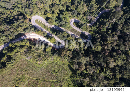 Aerial view of road in beautiful green forest at sunset in spring. Colorful landscape 121959434
