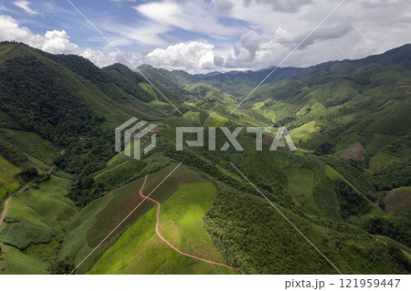 Landscape of Morning Mist with Mountain Layer. mountain ridge and clouds in rural jungle bush forest 121959447