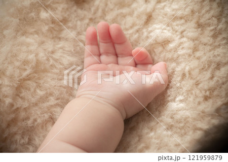 ふくよかな赤ちゃんの手のイメージ画像 ふくよかな赤ちゃんの手のイメージ画像 121959879