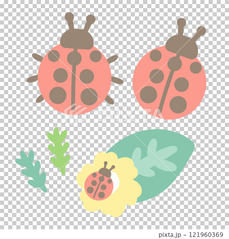 てんとう虫 葉っぱ 花 イラスト てんとう虫 葉っぱ 花 イラスト 121960369
