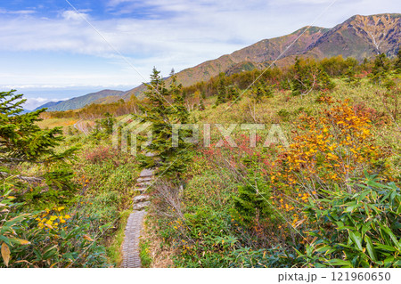 秋の立山黒部アルペンルート 紅葉の弥陀ヶ原 秋の立山黒部アルペンルート 紅葉の弥陀ヶ原 121960650