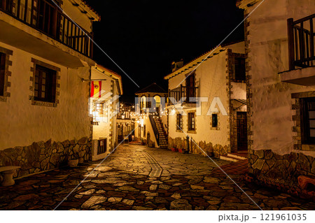 地中海村　(1月　夜景　志摩) 121961035