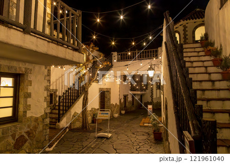 地中海村　(1月　夜景　志摩) 121961040