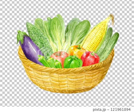 かごに入ったたくさんの夏野菜の水彩イラスト 121961894
