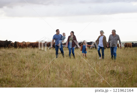 Farming, sustainability and family community on a farm walking together with cows in the background. Happy agriculture countryside group relax holding hands in a green sustainable field in nature Farming, sustainability and family community on a farm walking together with cows in the background. Happy agriculture countryside group relax holding hands in a green sustainable field in nature 121962164
