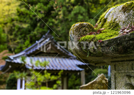 最乗寺 121963096