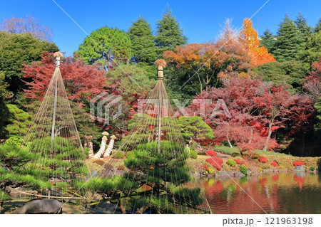 【東京都】快晴のシンメトリーな旧古河庭園の紅葉 121963198