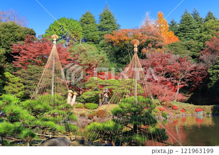 【東京都】旧古河庭園の紅葉 121963199