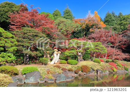 【東京都】旧古河庭園の紅葉 【東京都】旧古河庭園の紅葉 121963201