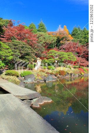 【東京都】旧古河庭園の紅葉 121963202