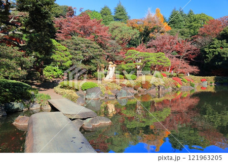 【東京都】旧古河庭園の石橋と紅葉 【東京都】旧古河庭園の石橋と紅葉 121963205